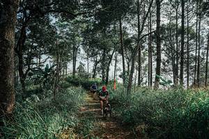 BIB: 
                            <button type="button" onclick="openModal(25657731)" class="btn btn-primary btn-sm float-right btn-popup" data-toggle="modal" data-target=".modal-high-quality">
                        <i class="fas fa-shopping-cart"></i> Add to Cart
                    </button>
                                            <button type="button" onclick="isThisMe(25657731, true)" class="btn btn-success btn-sm float-right btn-popup btn-isme hidden" data-toggle="tooltip" data-placement="bottom" title="นี่คือรูปของคุณใช่ไหม คลิกที่นี่เพื่อเอาเข้าอัลบั้ม">
                        <i class="fas fa-plus"></i> Add to album
                    </button>
                    <button type="button" onclick="isThisMe(25657731, false)" class="btn btn-warning btn-sm float-right btn-popup btn-isnotme hidden">
                        <i class="fas fa-ban"></i> Remove from album
                    </button>